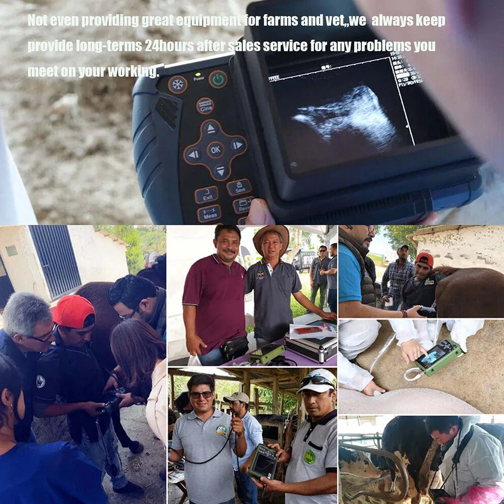 DAWEI Portable Veterinary Ultrasound Scanner Pregnancy