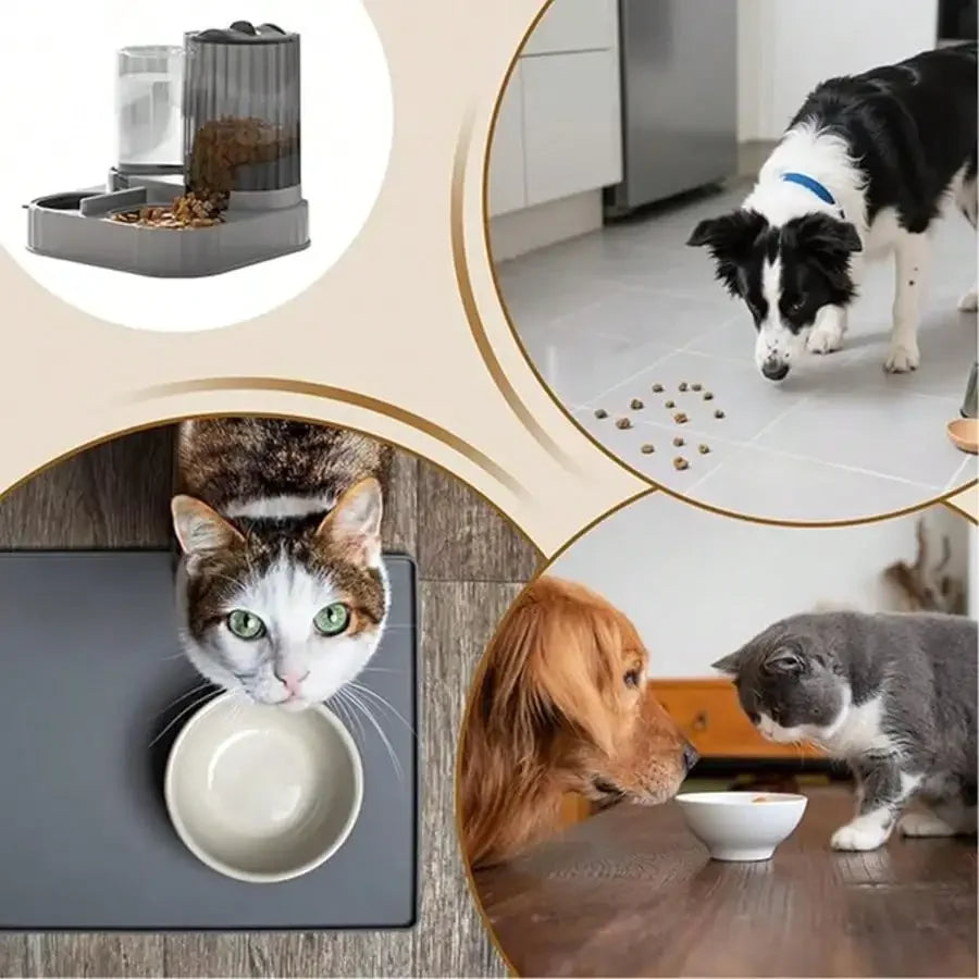 2-In-1 Automatic Dog Bowl And Cat Feeder 2500ml Capacity
