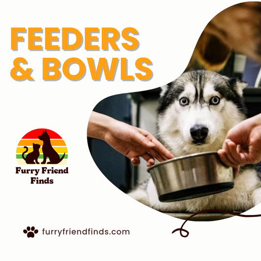 The Secret to Happier Mealtimes: How the Right Feeding Setup Transforms Your Pet's Day