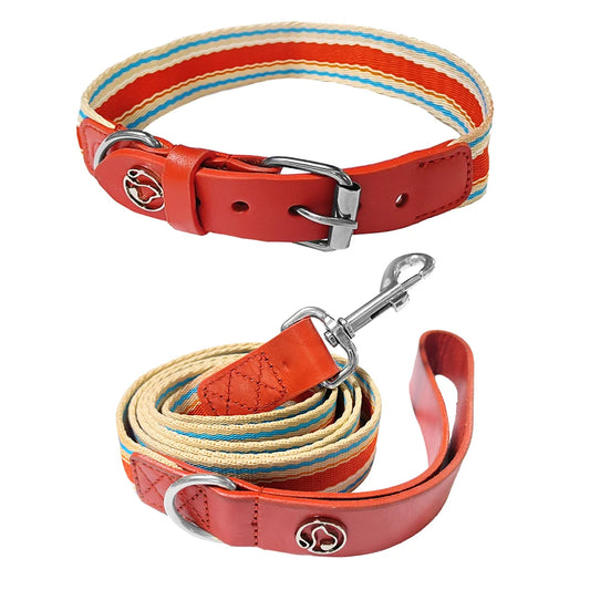 NONECN Adjustable Dog Collar and Retractable Leash Set