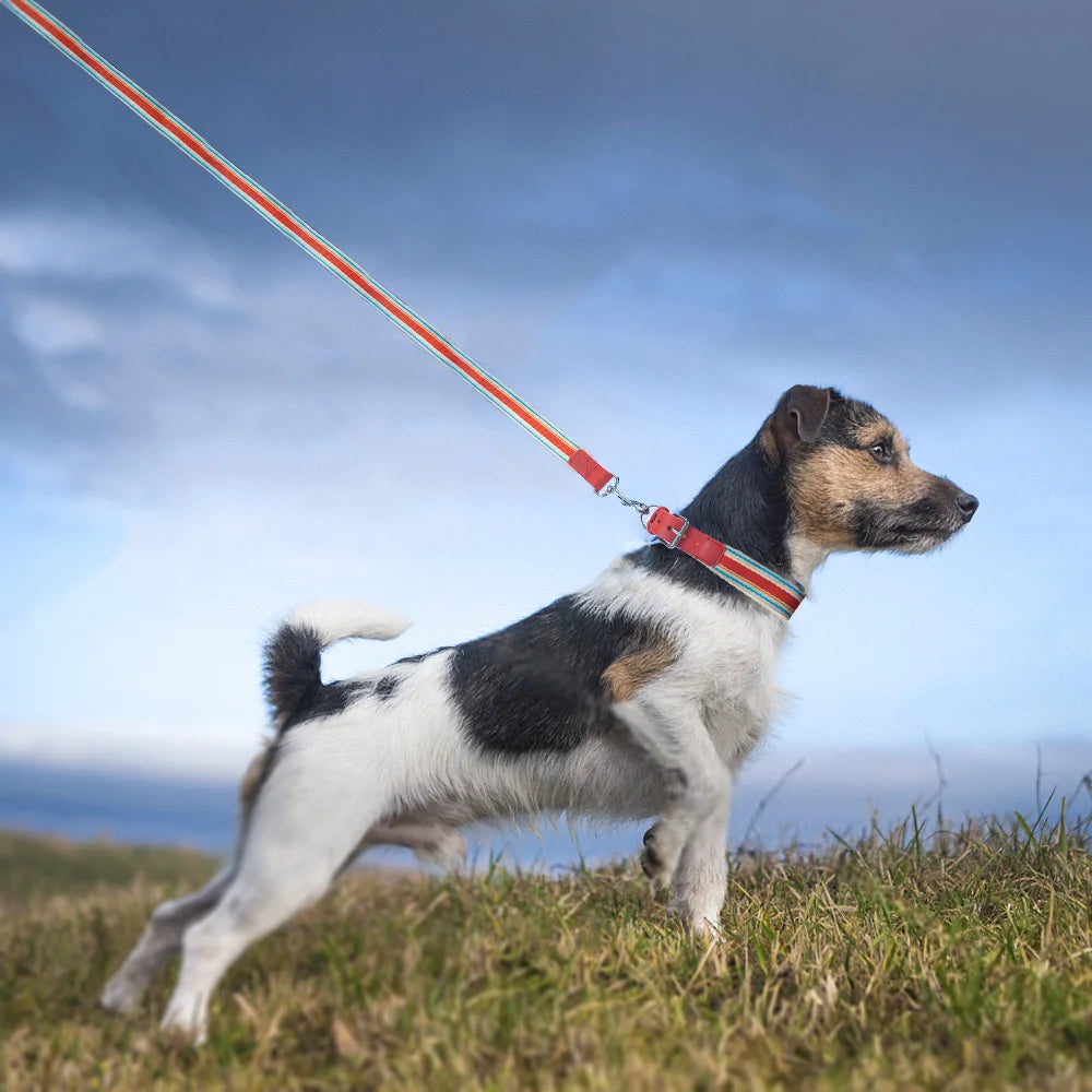NONECN Adjustable Dog Collar and Retractable Leash Set