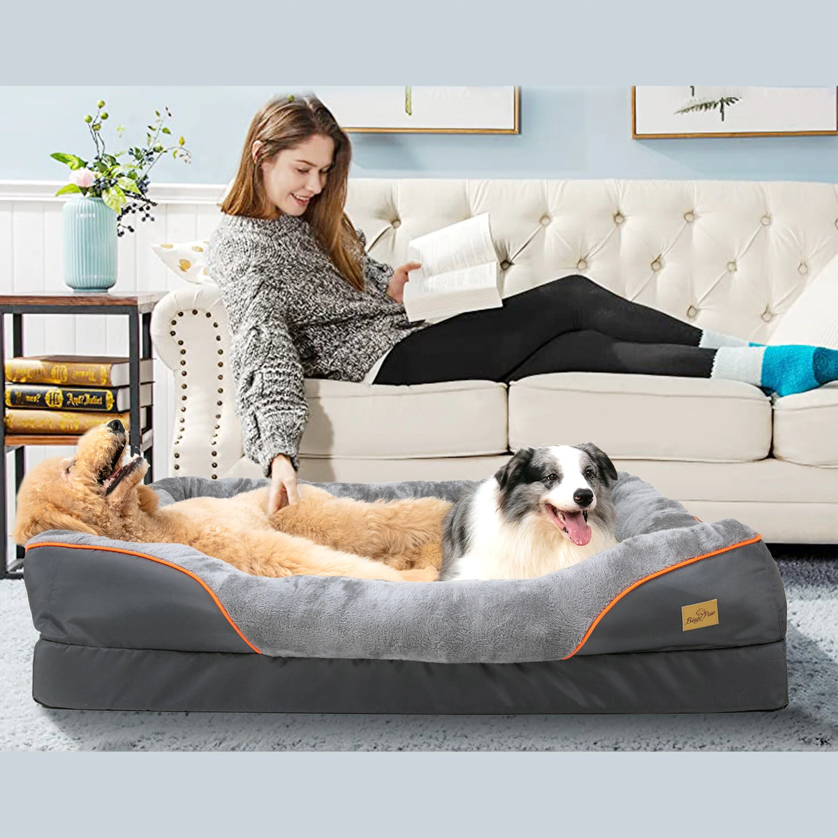 BINGOPAWCN Dog Bed Soft Anti Allergy Fleece Removable Washable Cover
