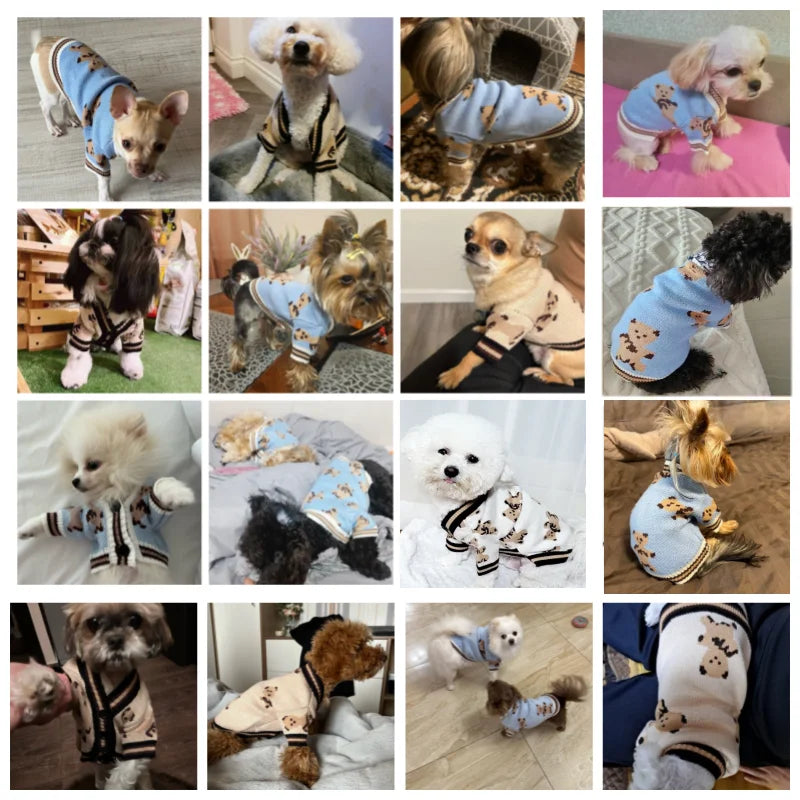 Striped Dog Cardigan Sweater For Chihuahua And Bichon Frise
