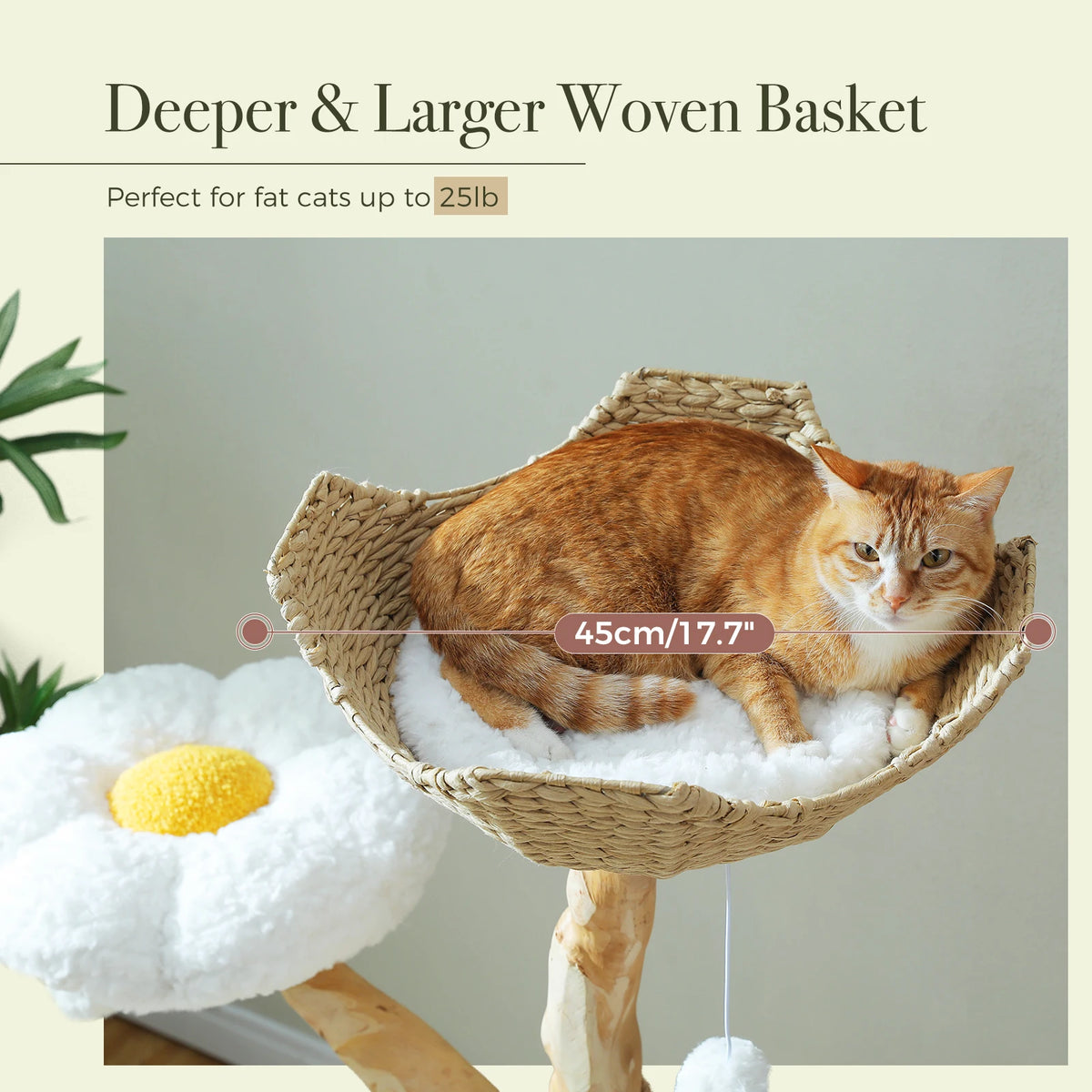 PEQULTI Solid Wood Cat Tree Tower With Condo And Perches