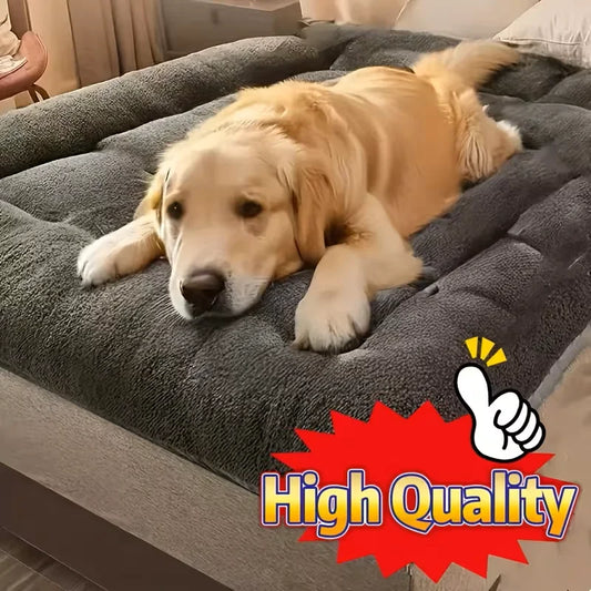 Plush Dog Bed Sofa For Dogs And Cats Comfortable Cozy