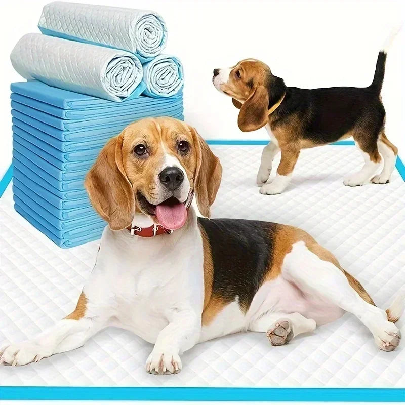 NONEDog Litter Super Absorbent Odor Control Disposable Dog Diapers
