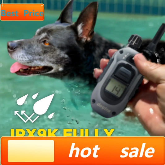 280X E Collar With Remote For Stubborn Dogs Long Range