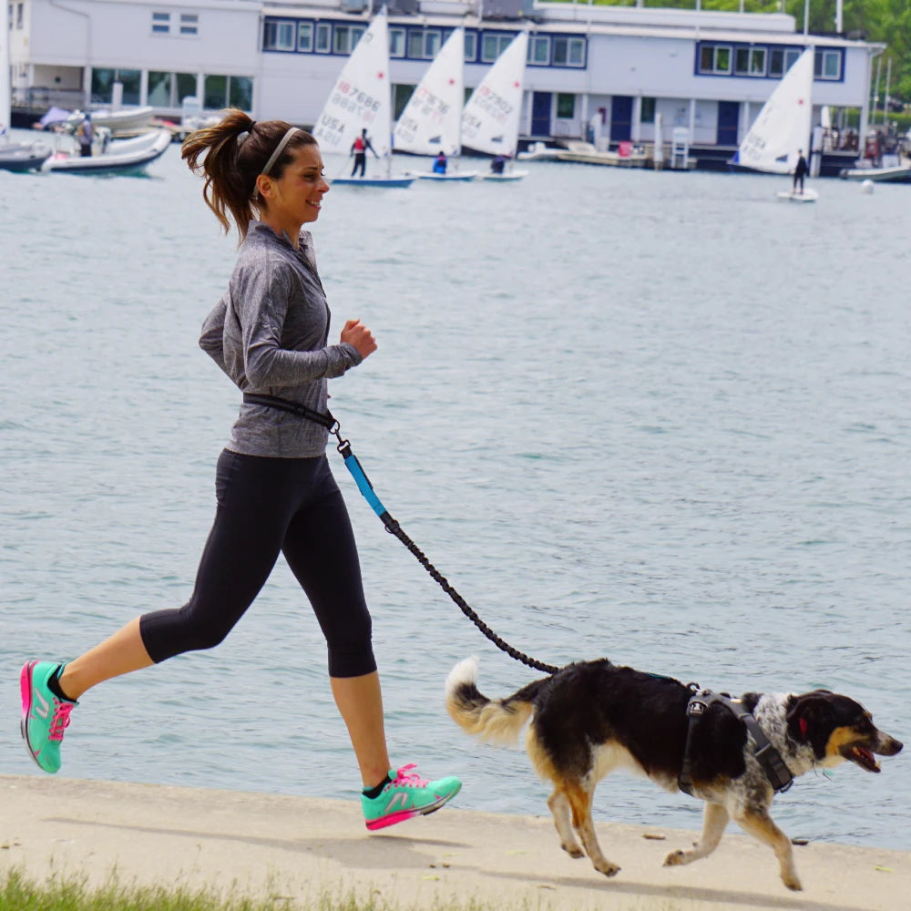 NONECN Hands Free Dog Leash Waist Belt Adjustable Reflective