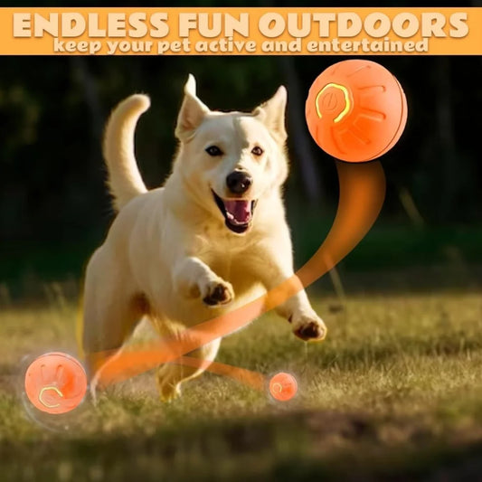 Smart Bouncing Pet Ball Toy With Random Motion Chew Resistant