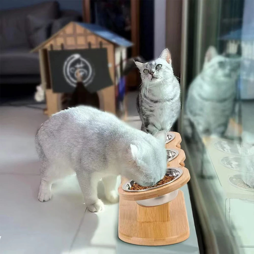 PETRAVEL Cat Feeder With 3 Tilted Raised Stainless Bowls