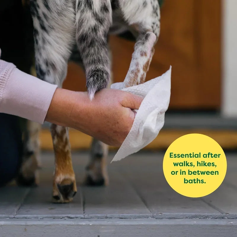 Pet Wipes For Dogs And Cats Hypoallergenic Fragrance-Free Cleansing Moisturizing