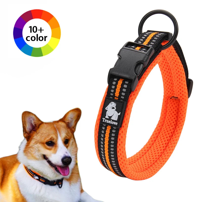 Winhyepet Dog Walking Collar Comfort Padded Nylon Buckle