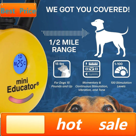 ET-300 Mini Dog Training Collar With Remote Waterproof 100 Levels