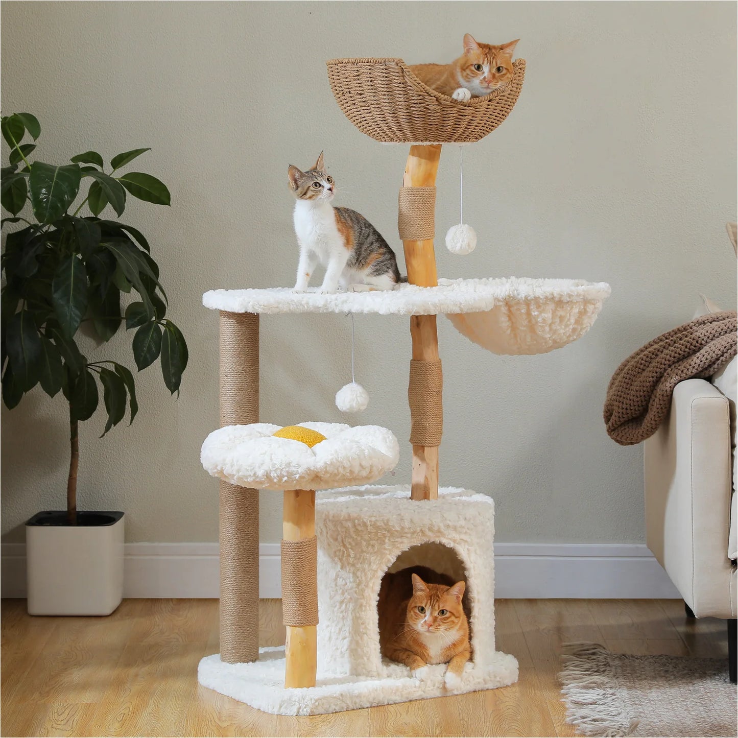 PEQULTI Solid Wood Cat Tree Tower With Condo And Perches