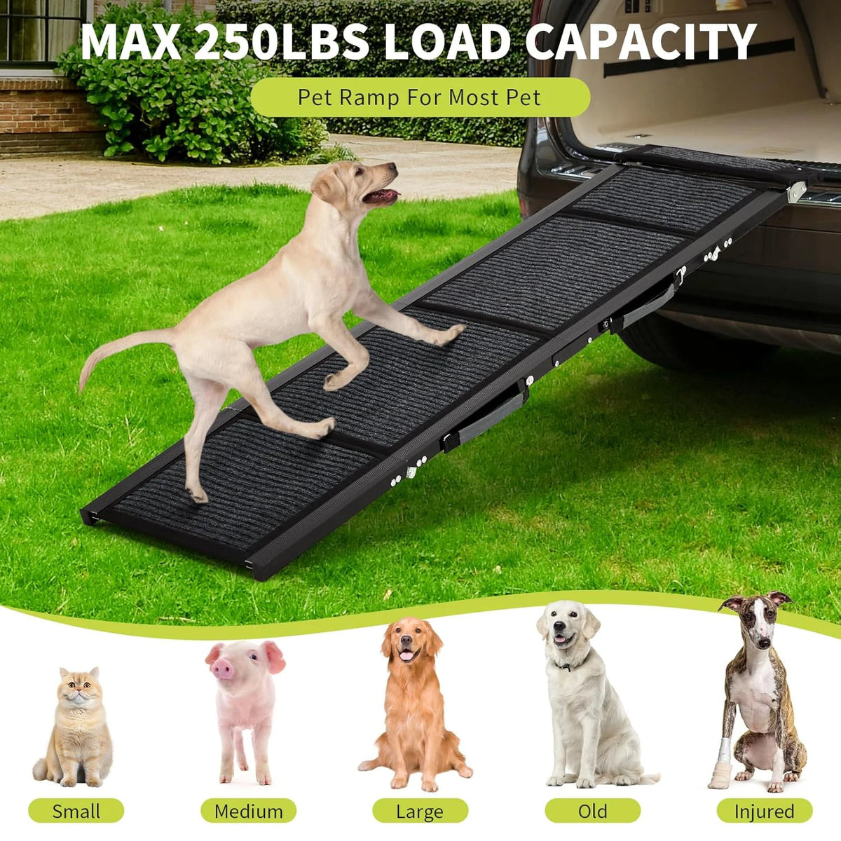 HiMISS Upgraded Foldable Dog Car Ramp With Non Slip Surface