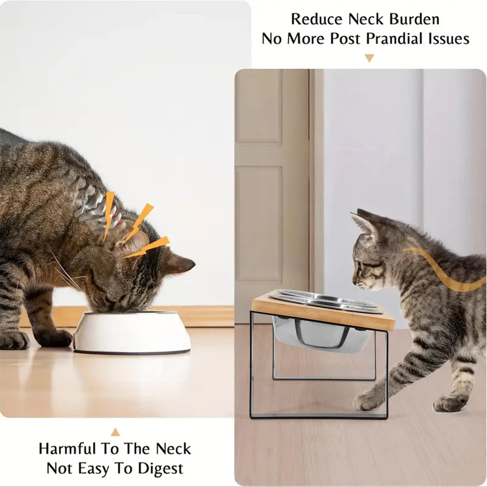 PETRAVEL Elevated Fifteen Degree Tilted Cat Bowls With Wooden Stand