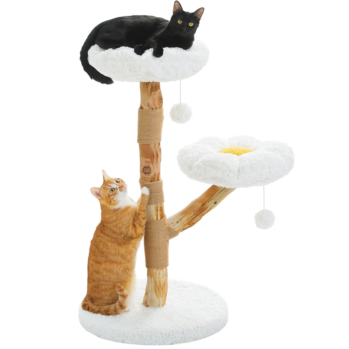 PEQULTI Solid Wood Cat Tree Tower With Condo And Perches
