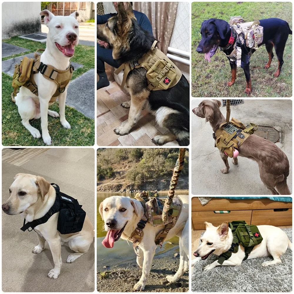 PETRAVEL Dog Tactical Bags Set Molle Pouches Harness Attachments Training