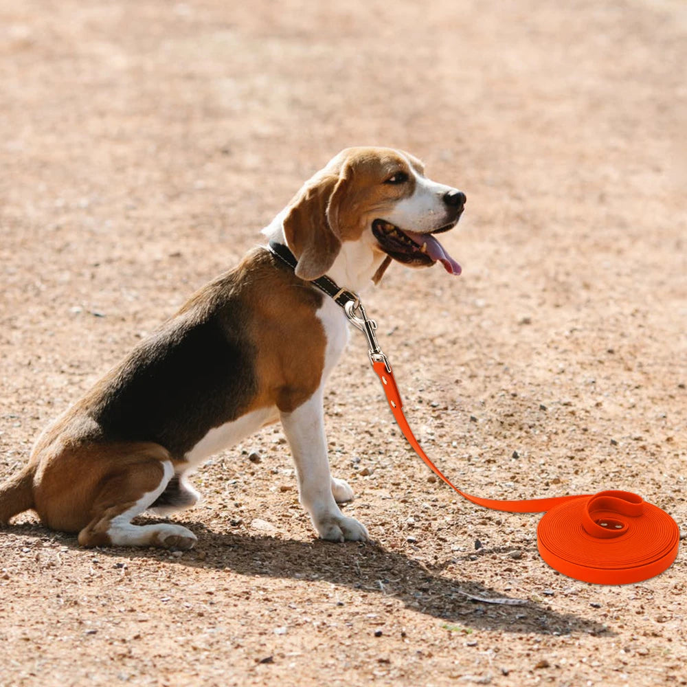 Waterproof PVC Dog Leash For Walks And Training