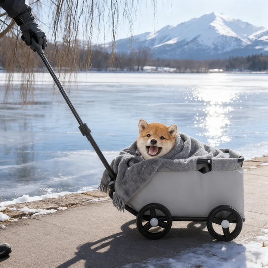 Foldable Dog Stroller For Small Pets Portable Travel Carrier