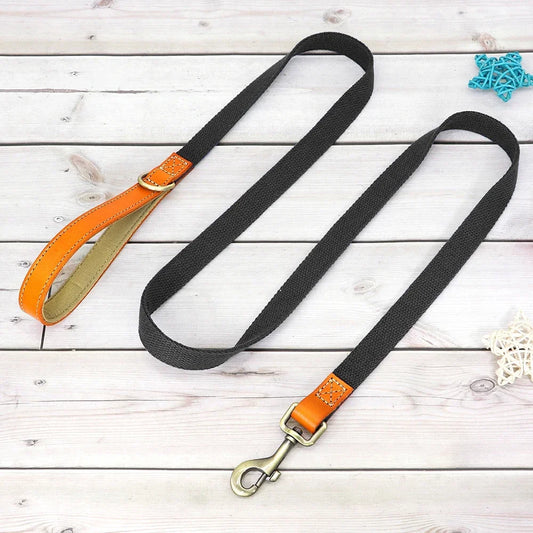 Pet Artist Personalized Nylon Dog Collar And Leash Set With Engraved Nameplate