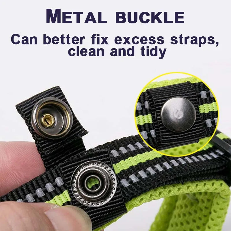 Winhyepet Dog Walking Collar Comfort Padded Nylon Buckle