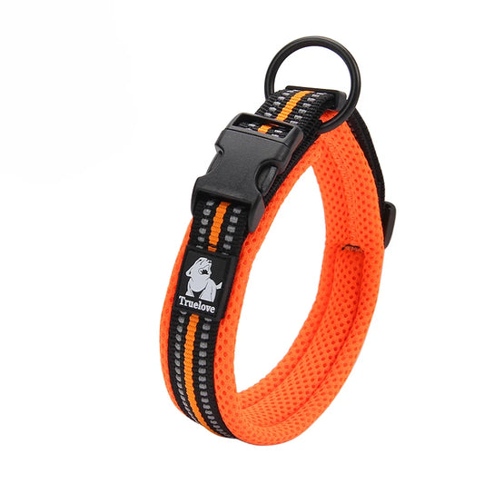 Winhyepet Dog Walking Collar Comfort Padded Nylon Buckle