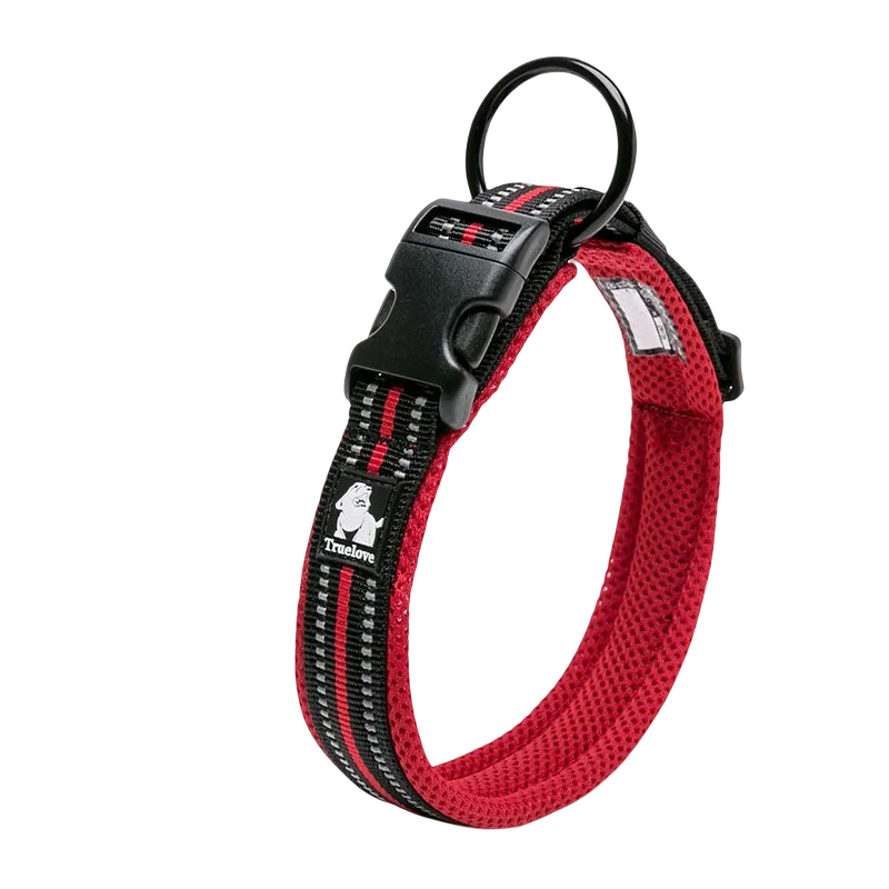 Winhyepet Dog Walking Collar Comfort Padded Nylon Buckle