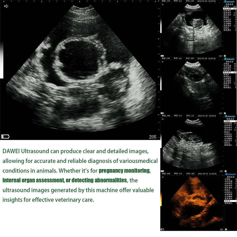 DAWEI Portable Veterinary Ultrasound Scanner Pregnancy