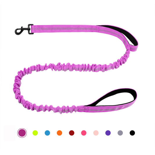 Bungee Dog Leash With Shock Absorption And Dual Padded Handles