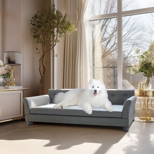 BINGOPAWCN Elevated Dog Bed Sofa Mat With Removable Cushion