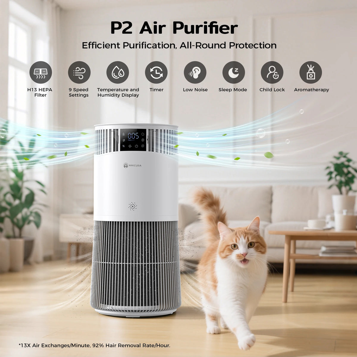 P2 Air Purifier for Pet Allergies with H13 Filter CADR