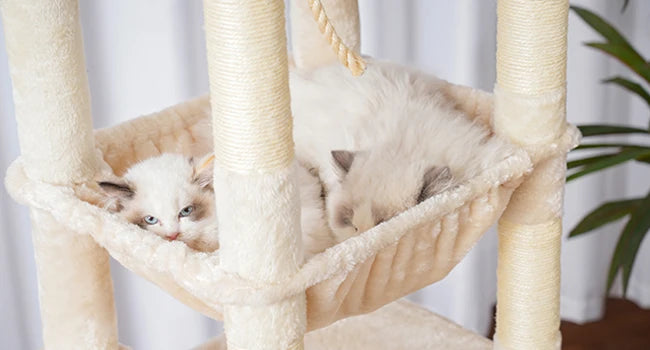 Heavy Duty Cat Tree Multi-Level Indoor Condo With Plush