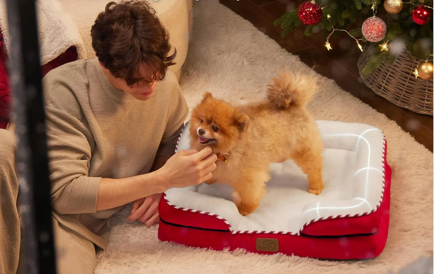 Best Christmas Dog Bed for Your Pet